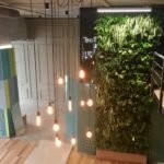 Вертикальное озеленение офиса